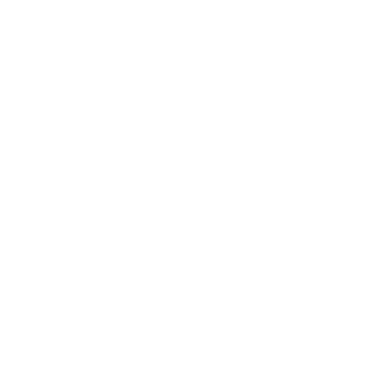Samara Experience